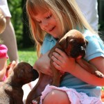 Puppies and Toddlers-1-3